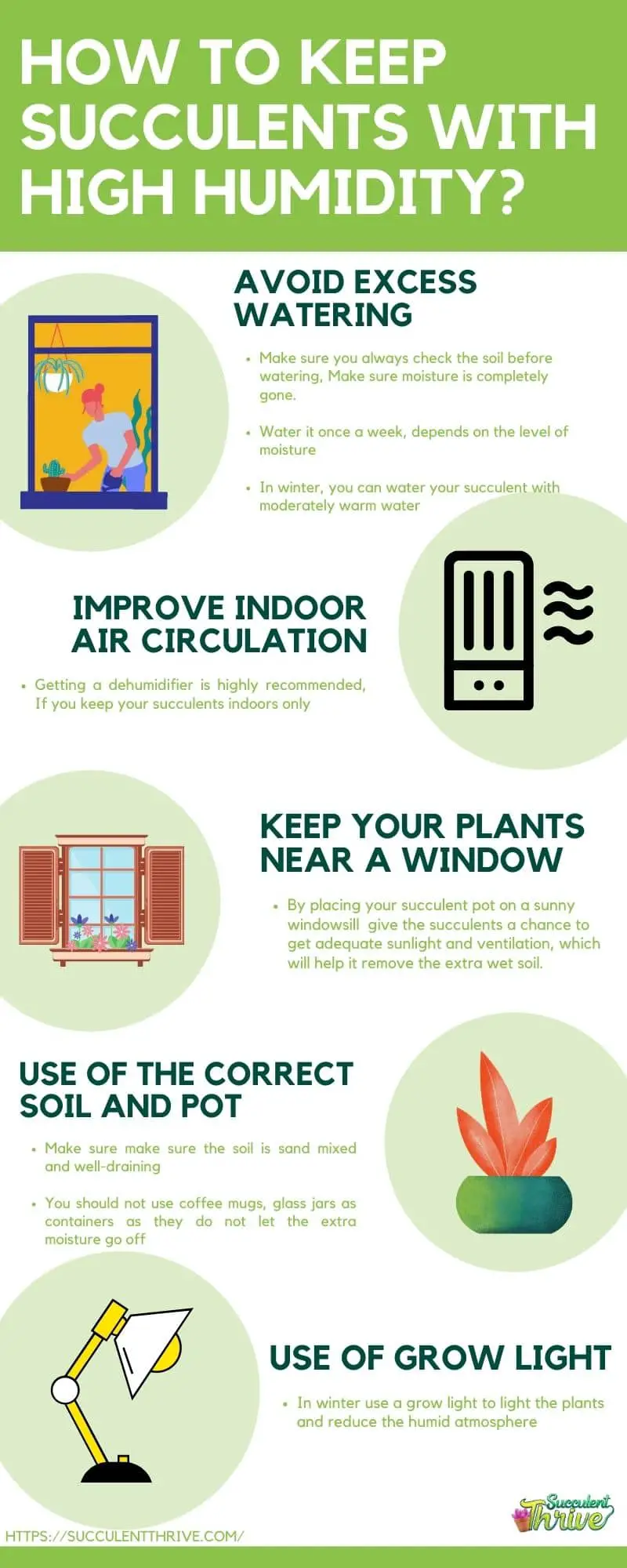 How to keep succulents with high humidity OR in a humid climate Infographic