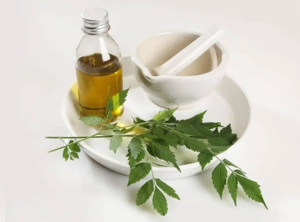 neem oil