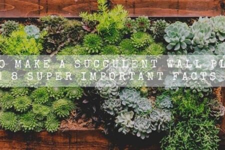 Succulent Wall Planter (What An Amazing Idea!)
