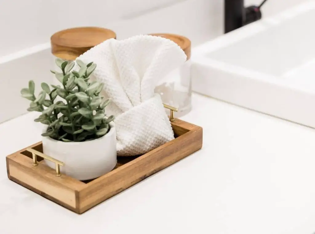 Succulents For The Bathroom 2 1