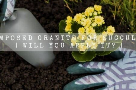 Decomposed Granite For Succulents | Will You Apply It? |