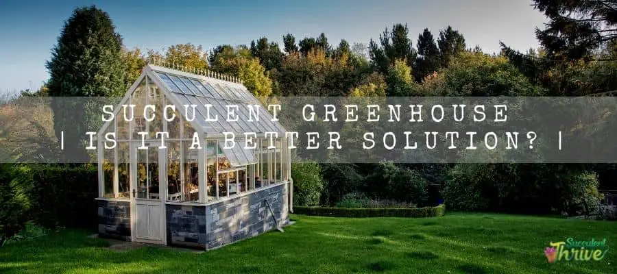 Succulent Greenhouse