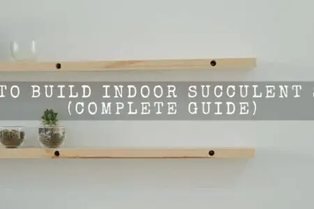 How To Build Indoor Succulent Shelf (A Complete Guide)