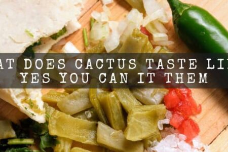 What Does Cactus Taste Like? Yes You Can It Them